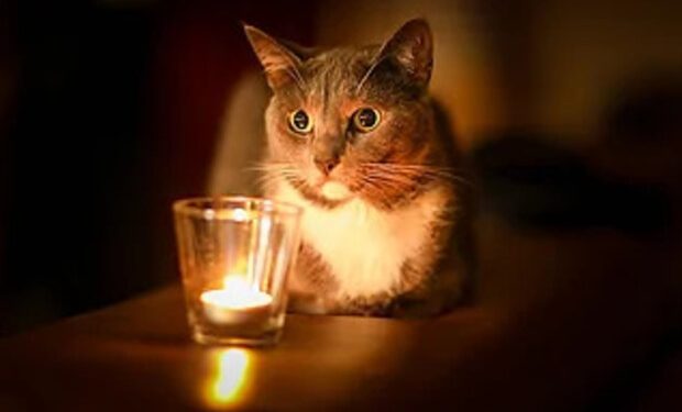 post-19935 thumbnail