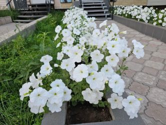 post-12901 thumbnail