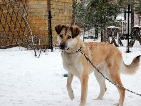 post-18735 thumbnail