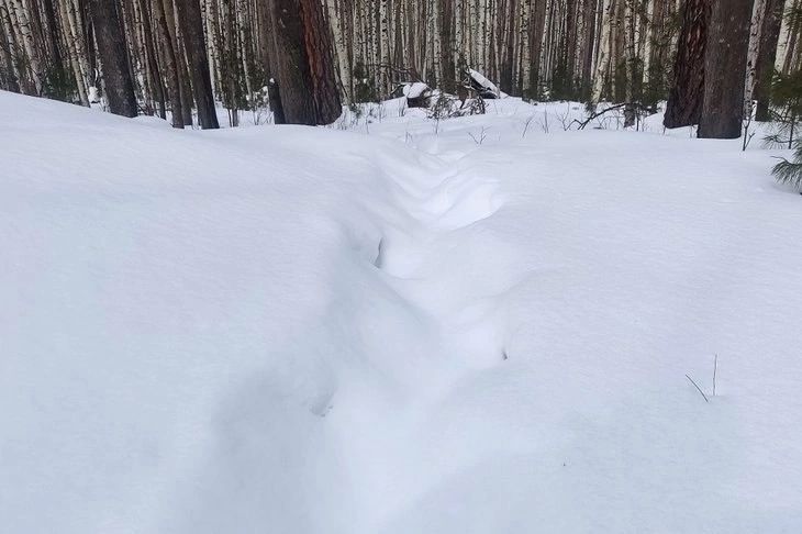 post-22416 thumbnail