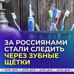 post-22728 thumbnail