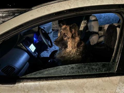 post-22146 thumbnail