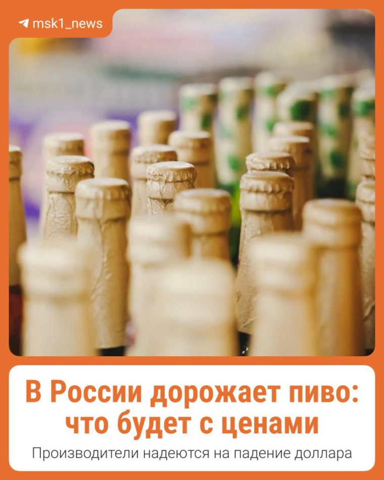 post-23565 thumbnail