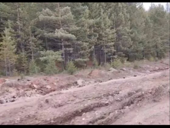 post-24337 thumbnail