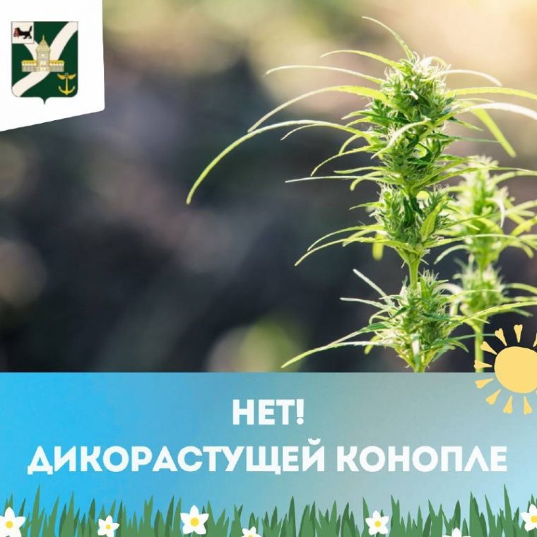 post-25321 thumbnail