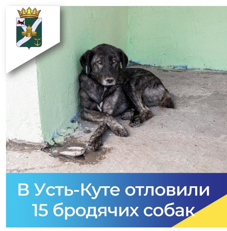 post-27038 thumbnail