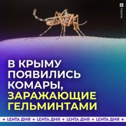 post-27112 thumbnail