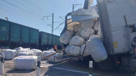 post-27833 thumbnail