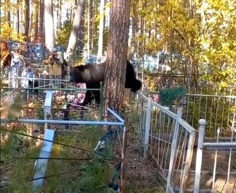 post-27587 thumbnail