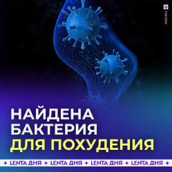 post-28397 thumbnail