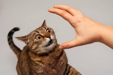 post-32149 thumbnail