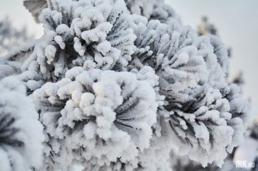 post-33006 thumbnail