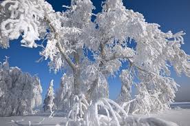 post-34426 thumbnail